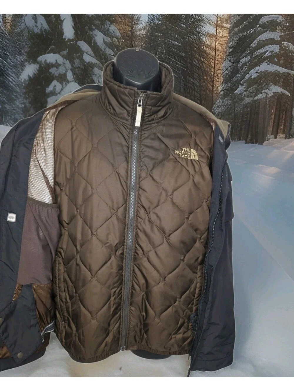 The North Face north face
